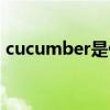 cucumber是什么意思（cucumber的用法）