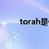 torah是什么意思（torah的用法）