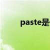 paste是什么意思（paste的用法）