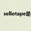 sellotape是什么意思（sellotape的用法）