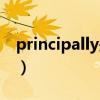 principally是什么意思（principally的用法）