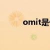 omit是什么意思（omit的用法）