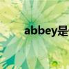 abbey是什么意思（abbey的用法）
