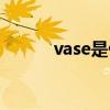 vase是什么意思（vase的用法）