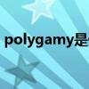 polygamy是什么意思（polygamy的用法）