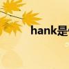 hank是什么意思（hank的用法）