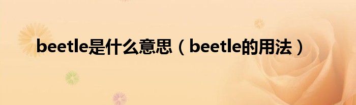 beetle是什么意思（beetle的用法）