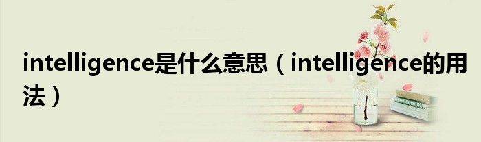 intelligence是什么意思（intelligence的用法）