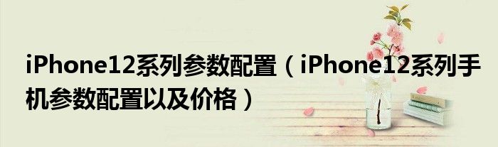 iPhone12系列参数配置（iPhone12系列手机参数配置以及价格）