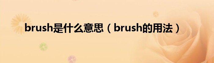 brush是什么意思（brush的用法）