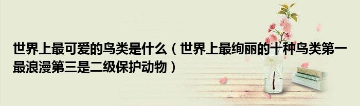 世界上最可爱的鸟类是什么（世界上最绚丽的十种鸟类第一最浪漫第三是二级保护动物）