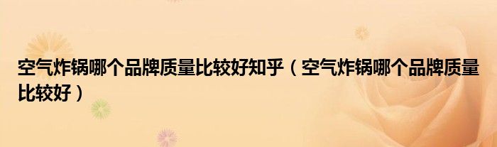 空气炸锅哪个品牌质量比较好知乎（空气炸锅哪个品牌质量比较好）
