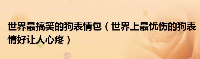 世界最搞笑的狗表情包（世界上最忧伤的狗表情好让人心疼）