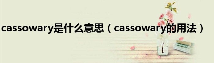cassowary是什么意思（cassowary的用法）