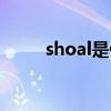 shoal是什么意思（shoal的用法）