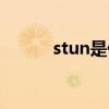 stun是什么意思（stun的用法）