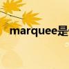marquee是什么意思（marquee的用法）