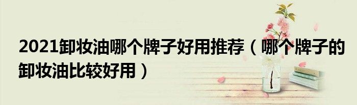 2021卸妆油哪个牌子好用推荐（哪个牌子的卸妆油比较好用）
