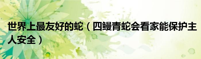世界上最友好的蛇（四鳗青蛇会看家能保护主人安全）