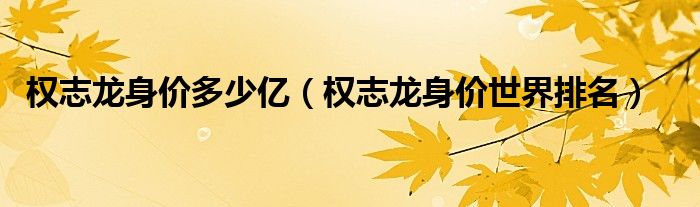 权志龙身价多少亿（权志龙身价世界排名）