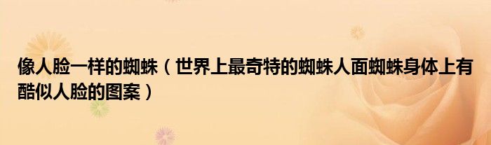 像人脸一样的蜘蛛（世界上最奇特的蜘蛛人面蜘蛛身体上有酷似人脸的图案）