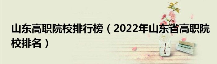 山东高职院校排行榜（2022年山东省高职院校排名）