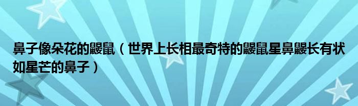 鼻子像朵花的鼹鼠（世界上长相最奇特的鼹鼠星鼻鼹长有状如星芒的鼻子）