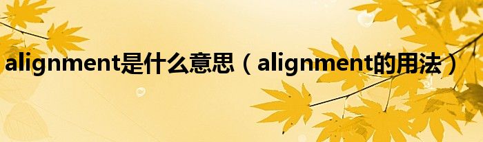 alignment是什么意思（alignment的用法）