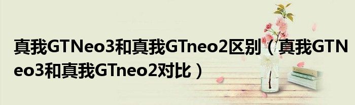 真我GTNeo3和真我GTneo2区别（真我GTNeo3和真我GTneo2对比）
