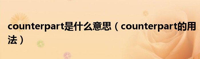 counterpart是什么意思（counterpart的用法）