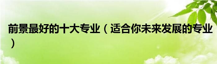 前景最好的十大专业（适合你未来发展的专业）