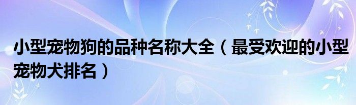 小型宠物狗的品种名称大全（最受欢迎的小型宠物犬排名）