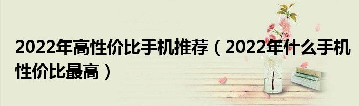 2022年高性价比手机推荐（2022年什么手机性价比最高）