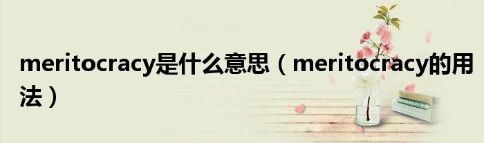 meritocracy是什么意思（meritocracy的用法）