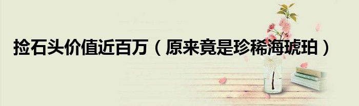 捡石头价值近百万（原来竟是珍稀海琥珀）