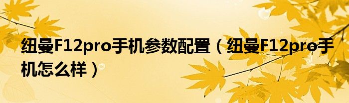 纽曼F12pro手机参数配置（纽曼F12pro手机怎么样）