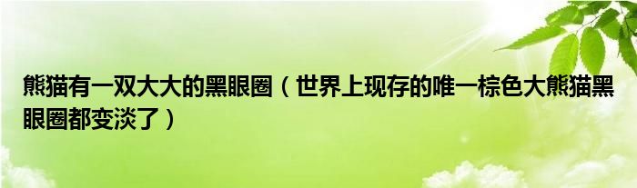 熊猫有一双大大的黑眼圈（世界上现存的唯一棕色大熊猫黑眼圈都变淡了）