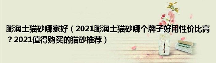 膨润土猫砂哪家好（2021膨润土猫砂哪个牌子好用性价比高？2021值得购买的猫砂推荐）