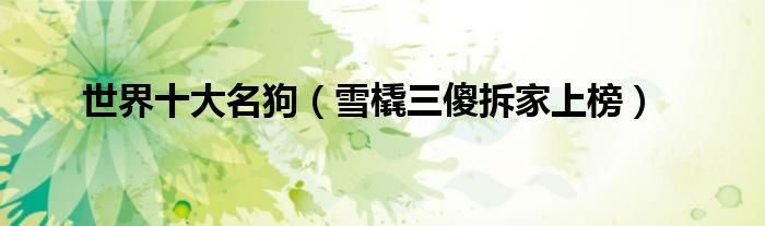 世界十大名狗（雪橇三傻拆家上榜）