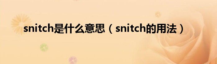 snitch是什么意思（snitch的用法）