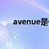 avenue是什么意思（avenue的用法）