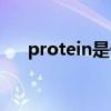 protein是什么意思（protein的用法）