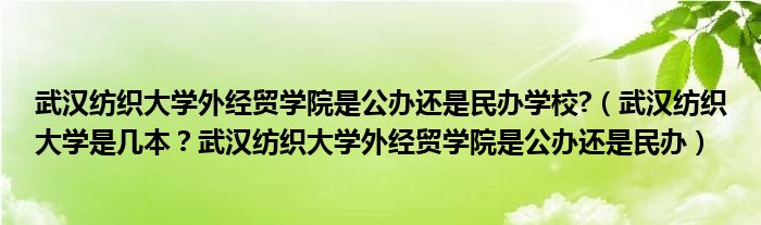 武汉纺织大学外经贸学院是公办还是民办学校?（武汉纺织大学是几本？武汉纺织大学外经贸学院是公办还是民办）