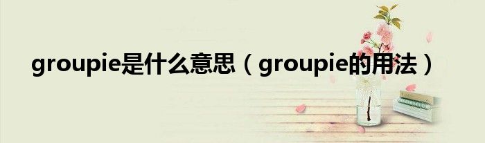 groupie是什么意思（groupie的用法）