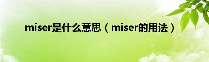 miser是什么意思（miser的用法）