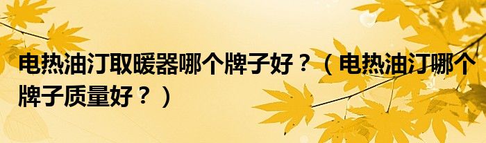 电热油汀取暖器哪个牌子好？（电热油汀哪个牌子质量好？）