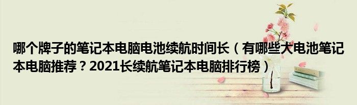 哪个牌子的笔记本电脑电池续航时间长（有哪些大电池笔记本电脑推荐？2021长续航笔记本电脑排行榜）