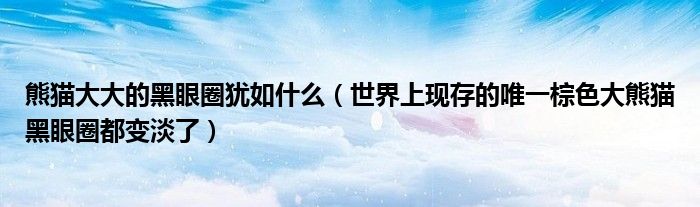 熊猫大大的黑眼圈犹如什么（世界上现存的唯一棕色大熊猫黑眼圈都变淡了）
