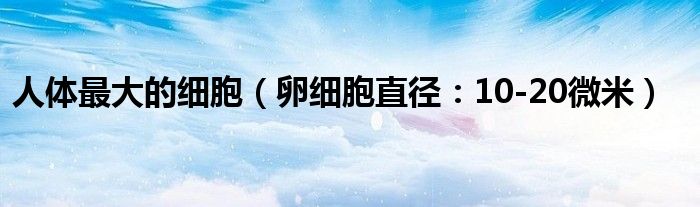 人体最大的细胞（卵细胞直径：10-20微米）
