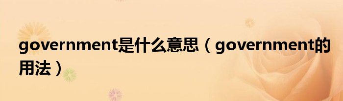 government是什么意思（government的用法）
